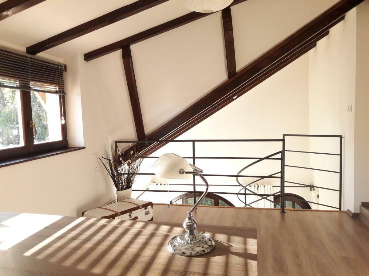 Spacious Apartment "Ana" On Lake Sabljaci 오굴린 외부 사진