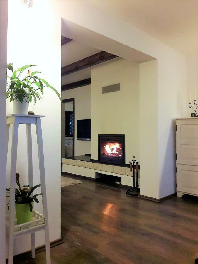 Spacious Apartment "Ana" On Lake Sabljaci 오굴린 외부 사진